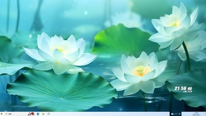 绿色清新荷花