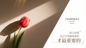简约治愈系壁纸
