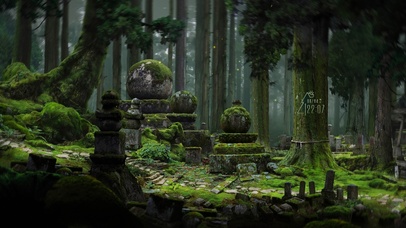 4K护眼森林遗址