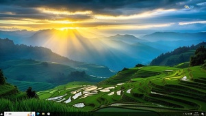 光照的地方