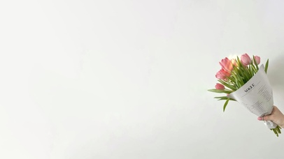 ins风～送你郁金香