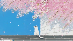 赏樱花的猫咪