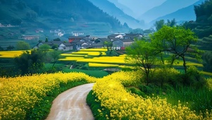 唯美油菜花乡村