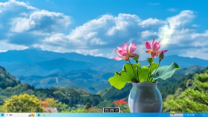 阳光下盛开的荷花