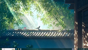 光影 竹林
