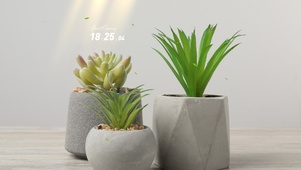 极简绿植桌面