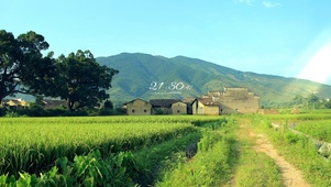 5K 治愈田间小路