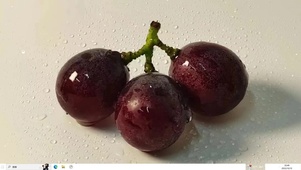 葡萄熟了  主题