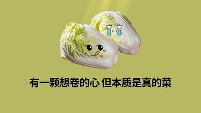 卷心菜