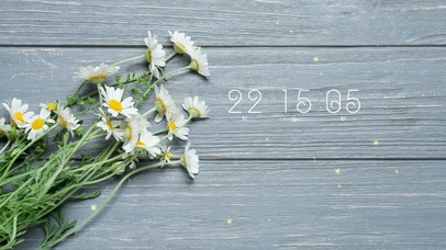 4k高级小清新氛围感桌面