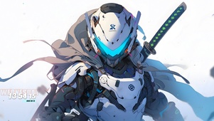 赛博武士