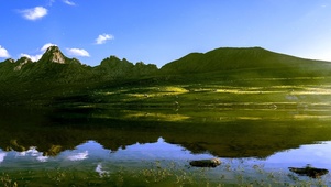 ins护眼油画唯美