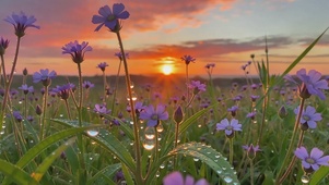 夕阳风景
