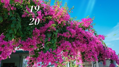 4k高清简约治愈系列