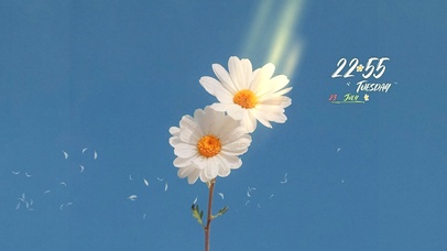 小清新简约壁纸