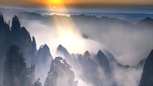 明月松间照  壁纸