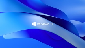 win11壁纸