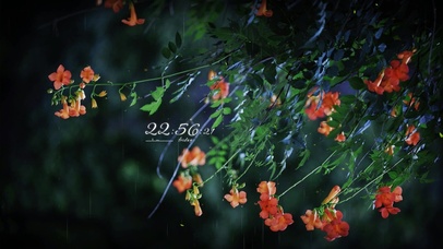 治愈护眼夏雨绿叶鲜花