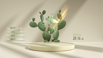 4K简约仙人掌光影桌面