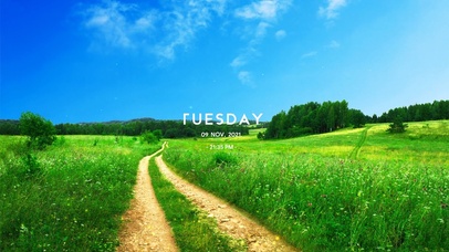 蓝天草地的小路