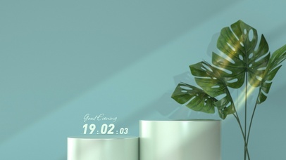 4K护眼植物光影