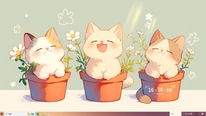 傲娇小猫咪