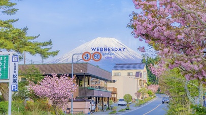富士山下樱花街道（带真实时间）