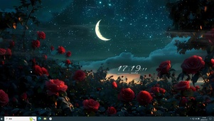 红玫瑰之夜