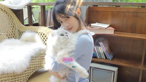 清纯性感女孩