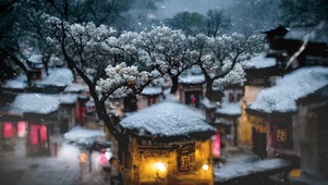 飘雪农村