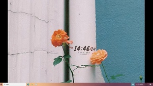 落花  电脑主题