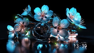 寂静花的唯美
