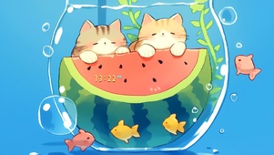 鱼缸里的猫