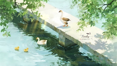 清新治愈系插画