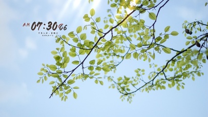 4k阳光清新系列