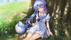 夏日口袋 苍