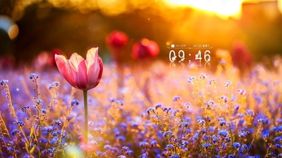 4K唯美夕阳之下