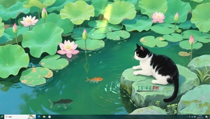 治愈 黑猫