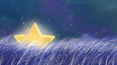 芦苇荡里的星星