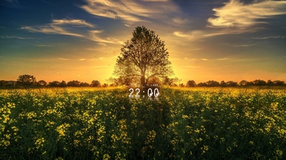 日落的油菜花田 