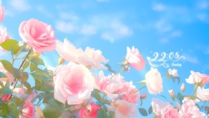 4k清新玫瑰花