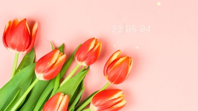 简约郁金香桌面