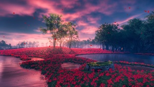 4K晚霞与花圃