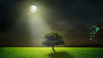 你如明月在我心