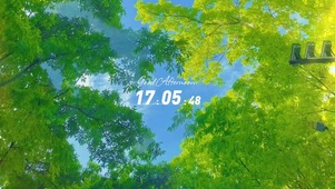 春日和  壁纸