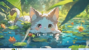 纳凉小猫咪