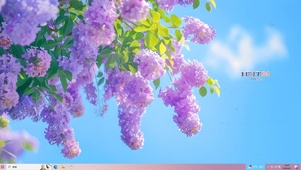 治愈紫藤花
