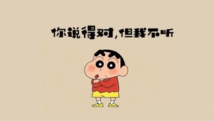 你说得对，但我不听