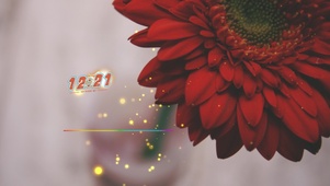 花花