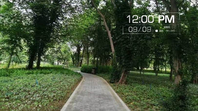 晨间的新鲜空气，让人倍感清爽~